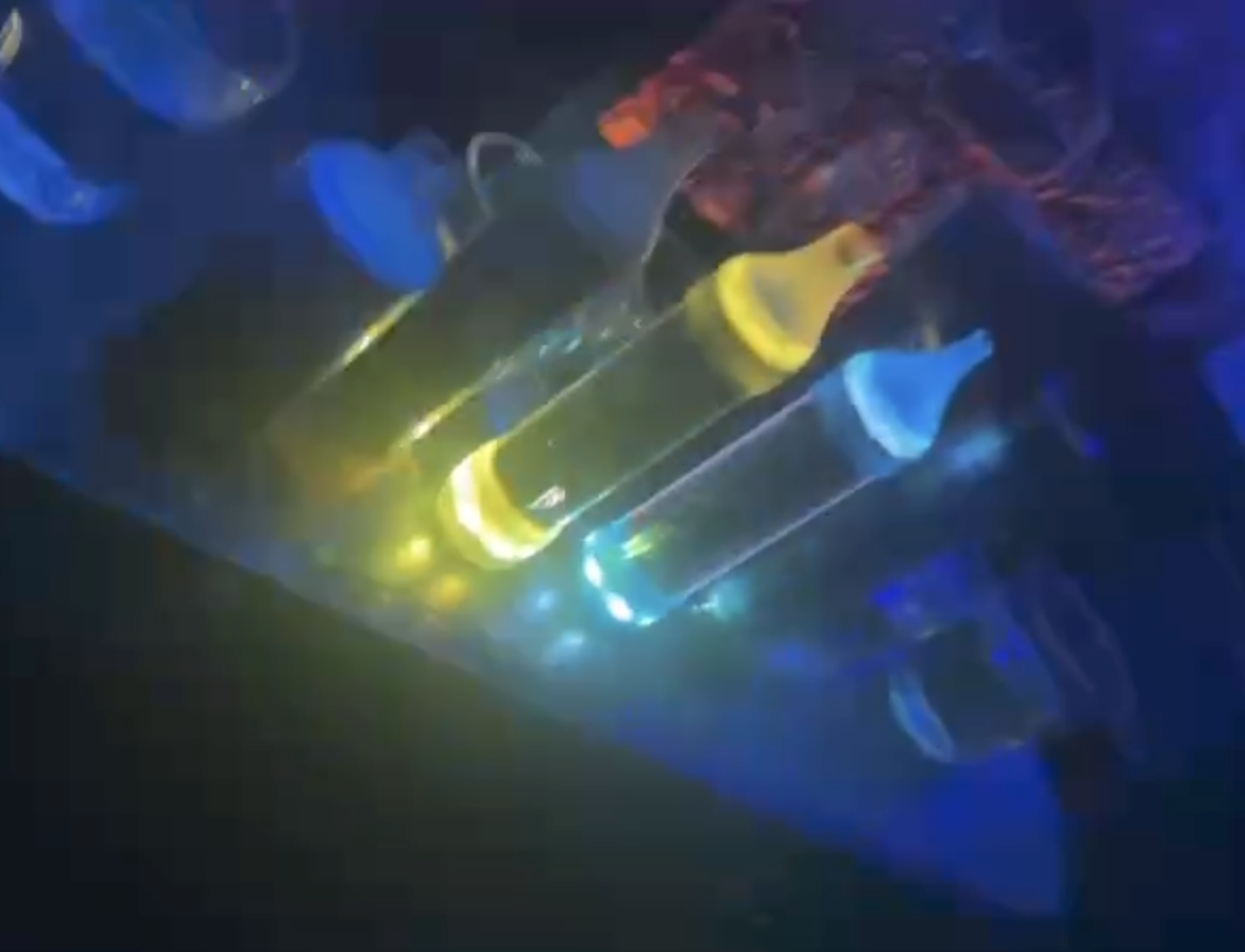 Bang King 35000パフ使い捨てのVape35K-オンラインストア写真レビューで利用可能