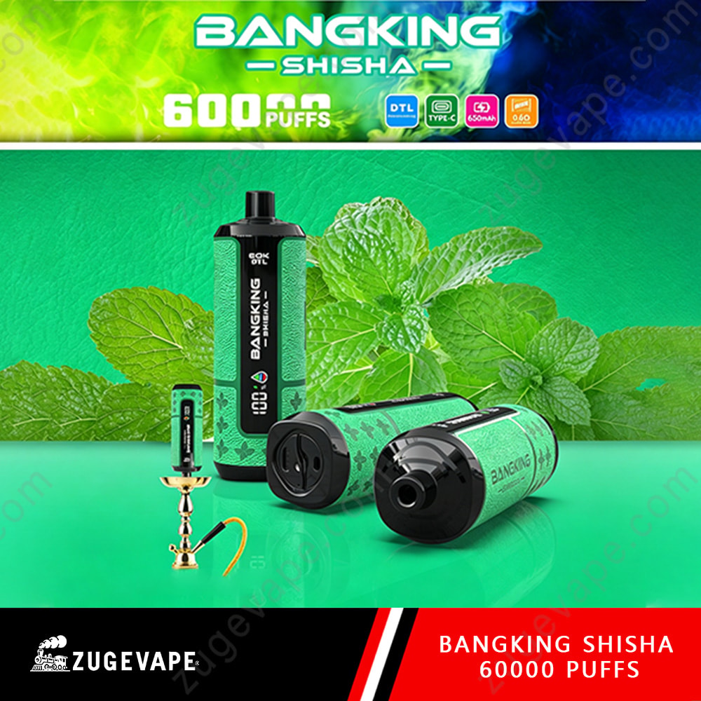 Bang King Shisha 60000 Puffs – Dtl Shisha 60K Vape 11 Bangking Shisha 6000 Puffs Vape Devices et fond de feuilles de menthe verte, avec une bouteille noire, deux cartouches cylindriques vertes et un petit accessoire de narguilé au premier plan.
