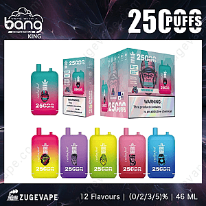Bester Bang King 25000 Puffs 25K Einweg-Vape