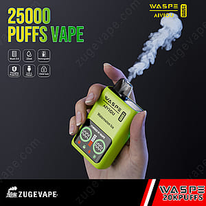 Waspe 25000 Züge