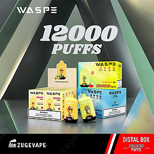 Waspe Digital Box 12000 soffi
