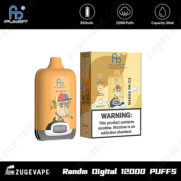Randm Digital Box 12000 Puffs Box