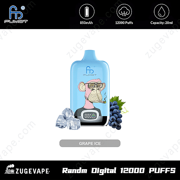 Randm Digital Box 12000 Puffs Grape-Ice