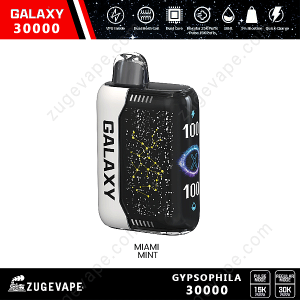 Galaxy 30000 Gypsophila 30000 Puffs Miami-Menthe