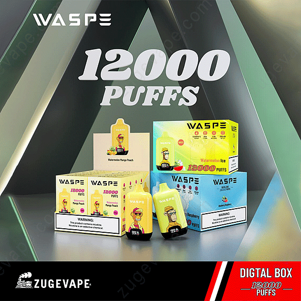Waspe Digital Box 12000 soffi