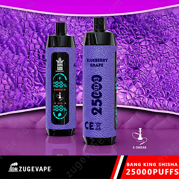 Due dispositivi E-Shisha viola etichettati &quot;Bang King Shisha 25000&quot; e &quot;Blueberry Grape&quot; con uno sfondo viola astratto. Il testo indica &quot;25000 boccate&quot;.