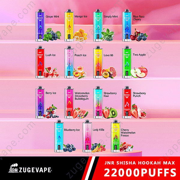 Una varietà di gusti di Jnr Shisha Hookah Max Vape, tra cui Grape Mint, Mango Ice, Simply Mint e altri, esposti con immagini di frutta abbinate. Il banner recita &quot;Zugevape Jnr Shisha Hookah Max 22000 Puffs&quot;.