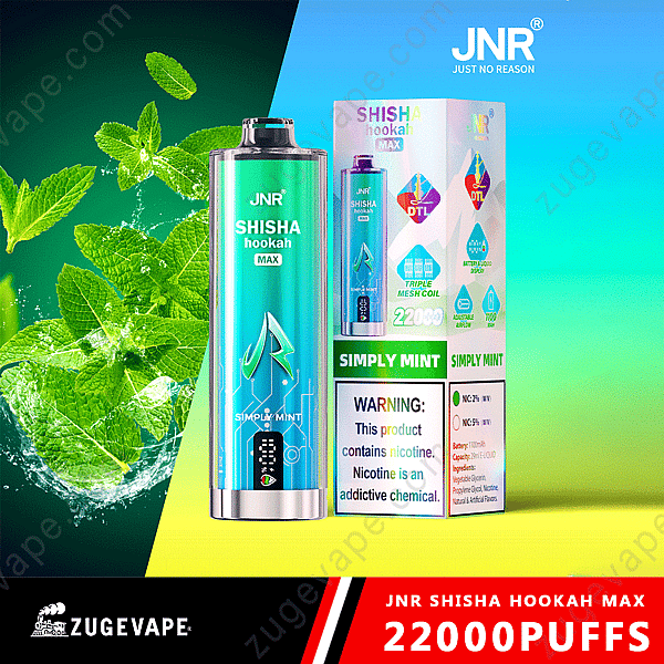 Penna per svapo Jnr Shisha Hookah Max al gusto Simply Mint, con confezione e foglie di menta, per 22.000 tiri.