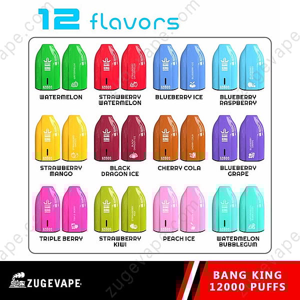 &Quot;Esposizione di 12 gusti di sigarette elettroniche con design colorati, tra cui anguria, anguria alla fragola, mirtillo e ghiaccio, mirtillo e lampone, fragola e mango, Black Dragon Ice, ciliegia e cola, mirtillo e uva, Triple Berry, fragola e kiwi, pesca e gomma da masticare all'anguria, etichettati Bang King 12000 tiri.&Quot;