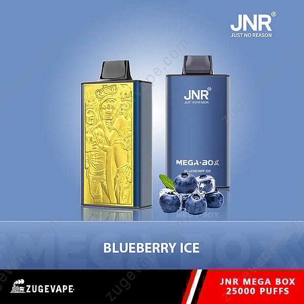Twee vape-apparaten met het label Jnr Mega Box Blueberry Ice, afgebeeld met bosbessen en ijsblokjes op de voorgrond.