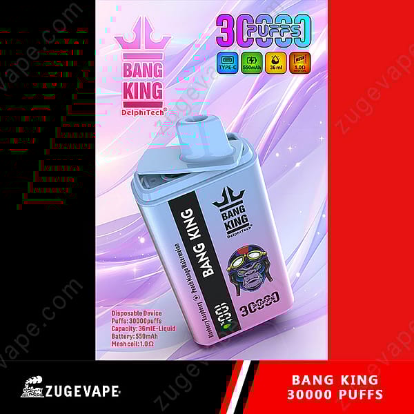 Appareil de vape jetable Bang King avec 30 000 bouffées, avec myrtille framboise, batterie 550 mAh, capacité d'e-liquide 36 ml et bobine en maille.