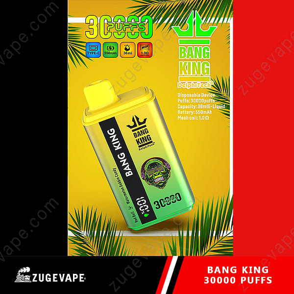 Appareil de vape jetable Bang King avec 30 000 bouffées, capacité de liquide de 36 ml, batterie de 550 mAh et bobine en maille de 1,0 Ω.