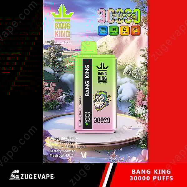 Une publicité dynamique pour l'appareil de vapotage jetable Bang King, présentant un design de produit vert et rose avec le texte « 30000 Puffs » et des icônes colorées indiquant ses spécifications, sur fond de nature fantaisiste.
