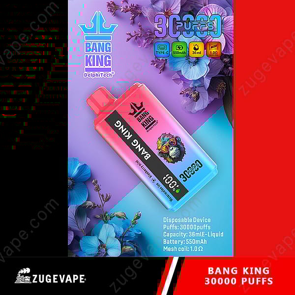 Emballage de produit pour un appareil à vapotage jetable nommé « Bang King », avec un design coloré avec un graphisme de singe, affichant ses spécifications : 30 000 bouffées, une capacité de 36 ml d'e-liquide, une batterie de 550 mAh et une bobine en maille de 1,0 Ω. L'arrière-plan comprend des fleurs et des formes géométriques.