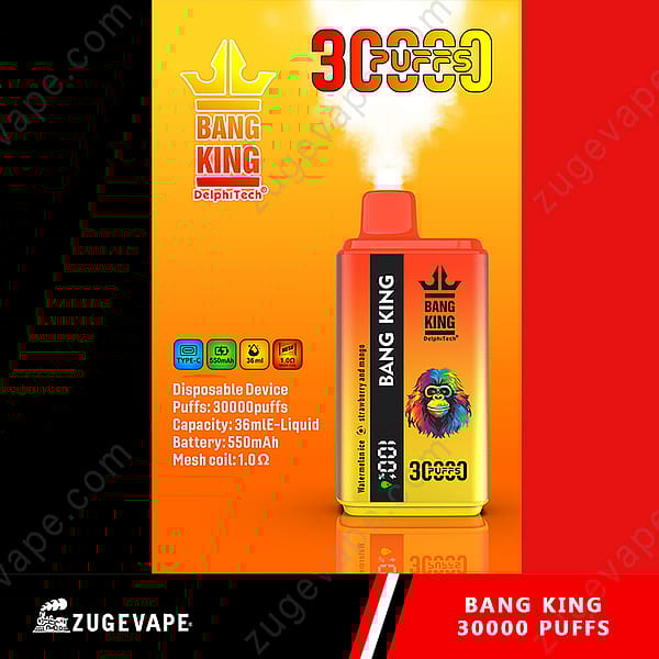 Bang King Vape jetable avec 30 000 bouffées, capacité d'e-liquide de 36 ml, batterie de 550 mAh, bobine en maille de 1,0 Ω, avec un design coloré et des saveurs de fruits.