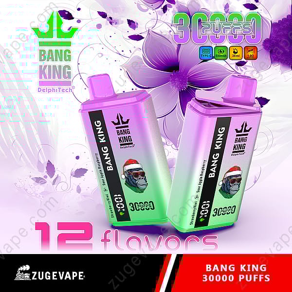 Bang King Vape jetable avec 30 000 bouffées, avec 12 saveurs et un design de gorille portant un chapeau de Père Noël.