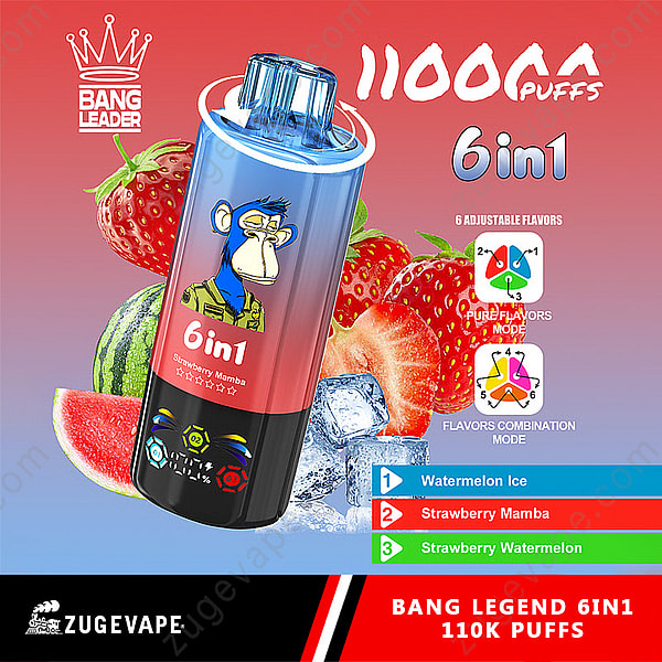 Test vapeur Bang Leader 110K