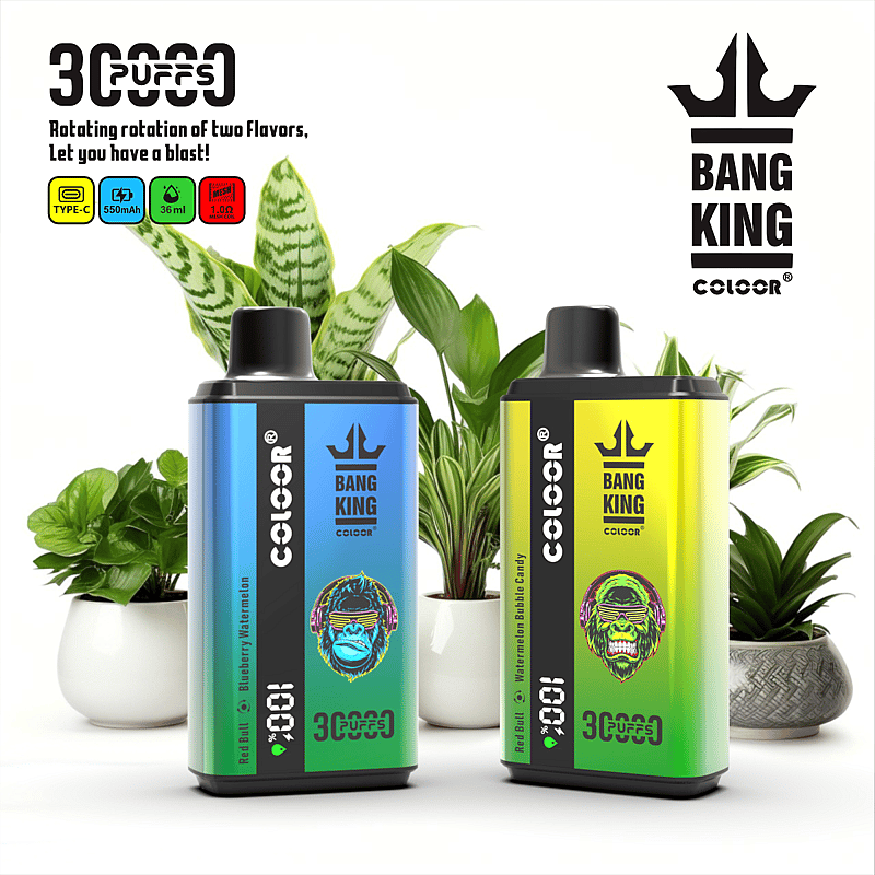 Bang King 30000 30K Puffs Dual Flavor Wegwerp Elektronische Sigaret