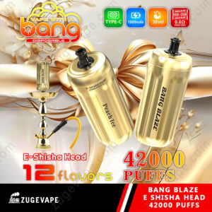 Reklambild som visar en engångsenhet för e-shisha som heter 'Bang Blaze E Shisha Head 42000', tillgänglig med 42 000 puffar och 12 smakalternativ, framhävd bland andra funktioner som ett 1000mAh Type-C uppladdningsbart batteri och 30 ml kapacitet, avbildat med en dekorerad vattenpipa-bakgrund.
